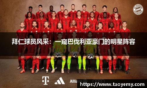mk体育