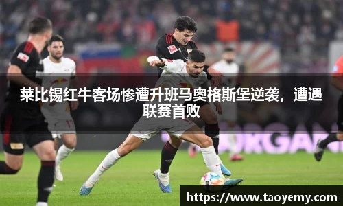 mk体育官网