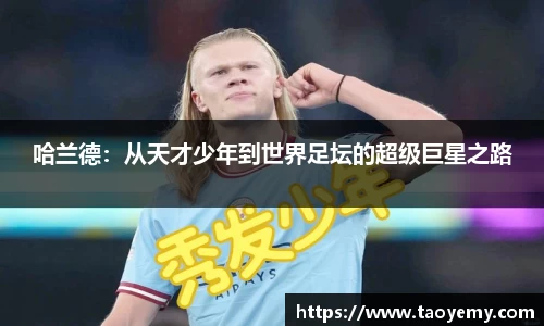 mk体育